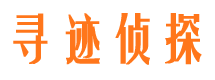 临港市调查公司